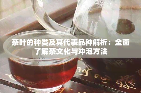 茶叶的种类及其代表品种解析:全面了解茶文化与冲泡方法