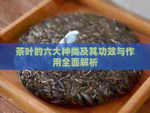茶葉的六大種類及其功效與作用全面解析
