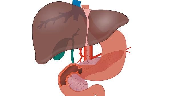 乙肝检测结果怎么看正常值？ 专家解析乙肝检查指标与健康标准