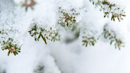 心理咨询师就业前景怎样