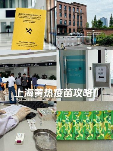 媽媽我也有小黃本啦?。ㄉ虾｜S熱疫苗攻略