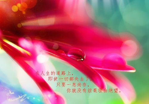 關(guān)于身體健康的名言句子