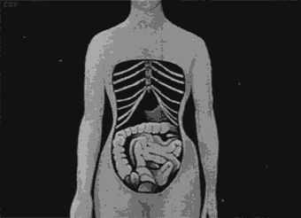 穿“塑身衣”就像“裹腳”，對(duì)身體的傷害難以想象 