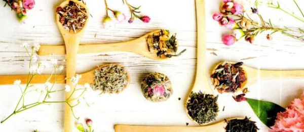 应对肥胖的十大中医方法