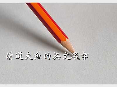 清道夫英语,清道夫鱼的英文名字