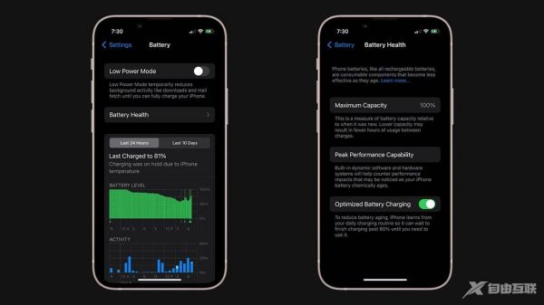 如何在 iOS 和 iPadOS 上檢查電池健康狀況