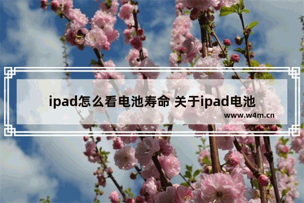 ipad怎么看電池壽命 關(guān)于ipad電池壽命查看方法