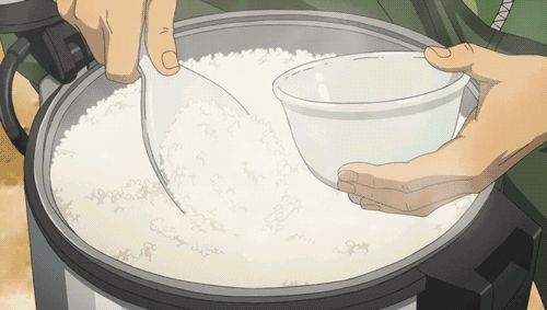 零碳水化合物減肥靠譜嗎？適當(dāng)攝于雜糧谷物其實(shí)更健康