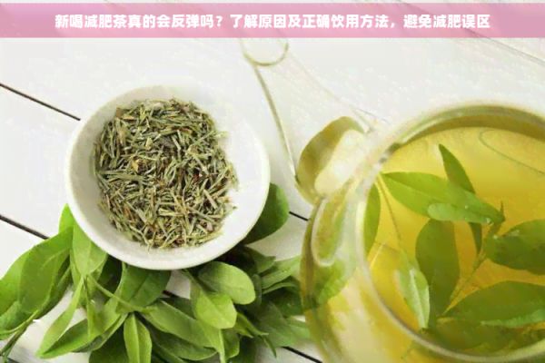 新喝減肥茶真的會(huì)反彈嗎？了解原因及正確飲用方法，避免減肥誤區(qū)
