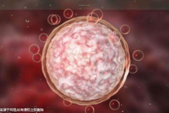 〖國內(nèi)權(quán)威10家個(gè)人三代試管助孕機(jī)構(gòu)一覽(2024新試管醫(yī)院所名單)〗