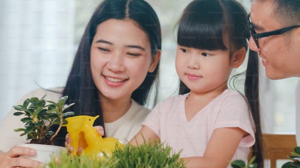 健康稅優(yōu)險對比 個稅稅優(yōu)健康險怎么填