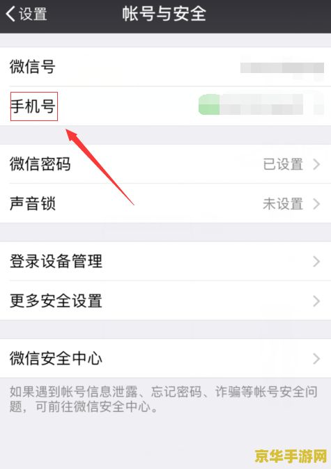 王者荣耀从哪里看实名注册情况__王者实名注册怎么看