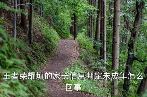 王者荣耀填的家长信息判定未成年怎么回事