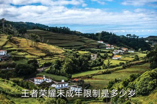 王者荣耀未成年限制是多少岁