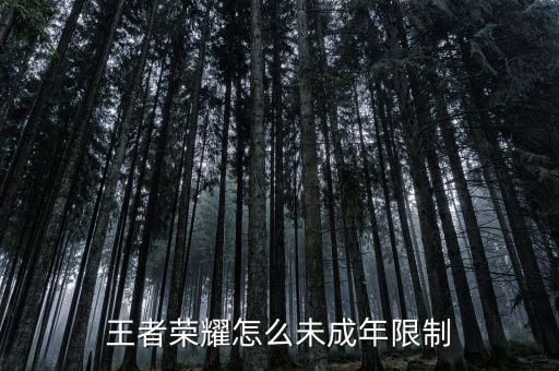 王者荣耀怎么未成年限制