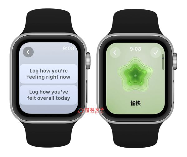 Apple Watch 记录心理状态与追踪情绪：选择感受