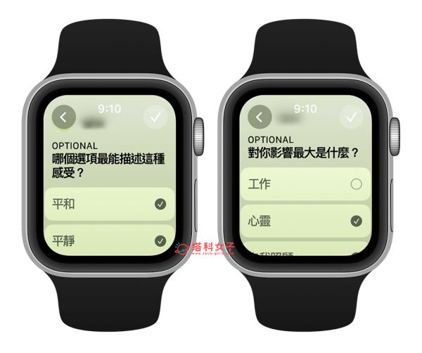 Apple Watch 记录心理状态与追踪情绪：选择描述