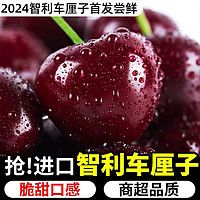 集年鮮 智利進(jìn)口車?yán)遄?5斤