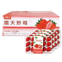 移動(dòng)端、京東百億補(bǔ)貼：Mr.Seafood 京鮮生 黔莓大涼山露天草莓2.4斤 單果15g-25g 新鮮水果源頭直發(fā) 包郵