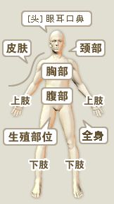 按身體部分查詢疾病查詢?