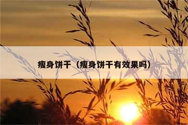 瘦身餅干（瘦身餅干有效果嗎）
