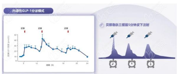 貝那魯肽菲塑美使用方式
