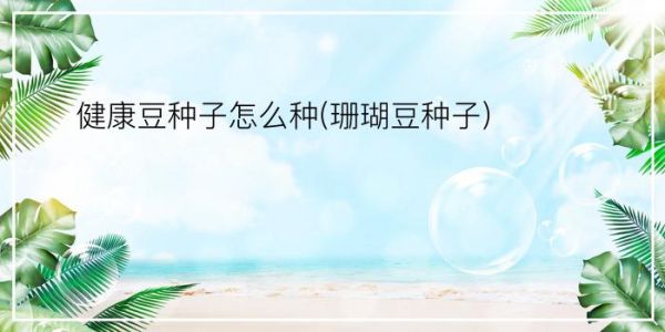 健康豆種子怎么種(珊瑚豆種子)