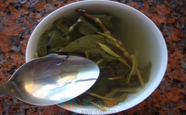 蜂蜜養(yǎng)生保健食譜—— 魚腥草蜂蜜飲。鮮魚腥草100克，蜂蜜30克——第六味道