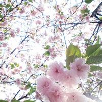 敏丽mio