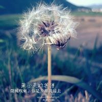bubble20101