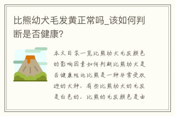 比熊幼犬毛发黄正常吗_该如何判断是否健康？