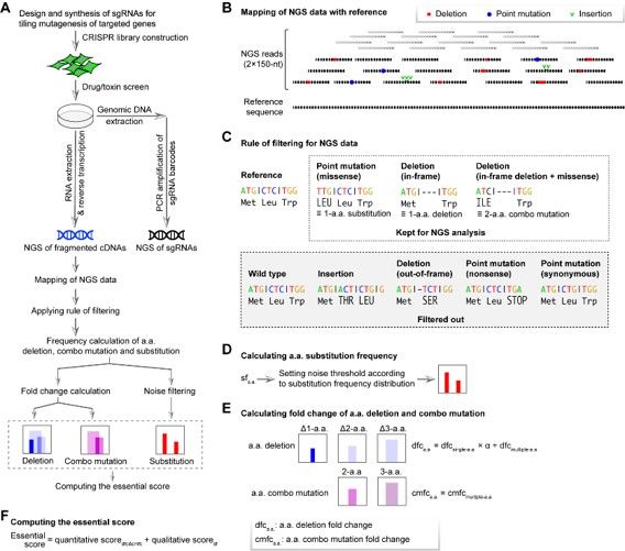 網(wǎng)站關(guān)鍵詞