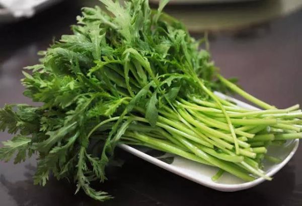 吃火鍋“必點”的四樣蔬菜！比肉還要鮮嫩可口，你喜歡吃哪種？