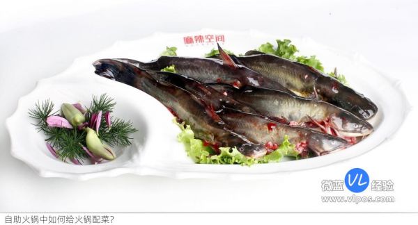 自助火鍋中如何給火鍋配菜？自助火鍋配菜清單大全