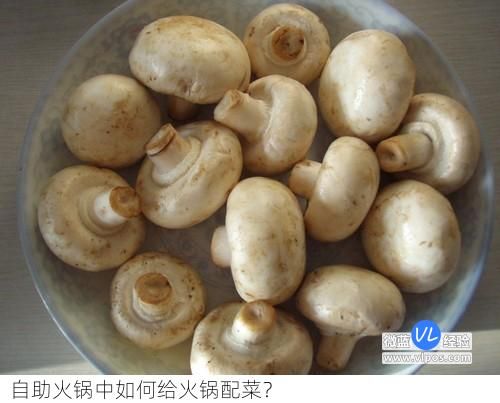 自助火鍋中如何給火鍋配菜？自助火鍋配菜清單大全