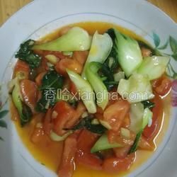 番茄青菜的做法[圖]