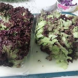 牛肉螺旋意面健康餐的做法步骤 第4步
