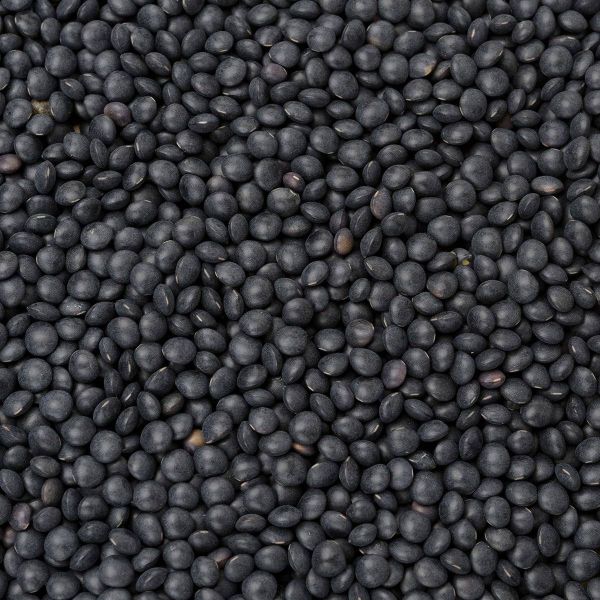 黑扁豆（Beluga Lentils）