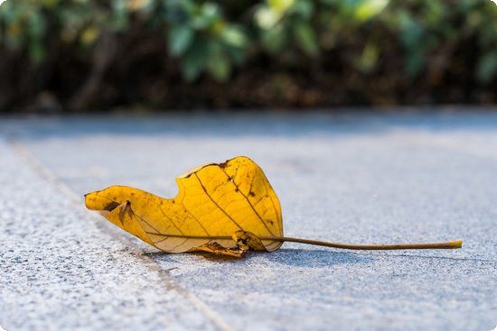 如何健康的快速減肥,3個快速健康減肥方法?科學不復胖