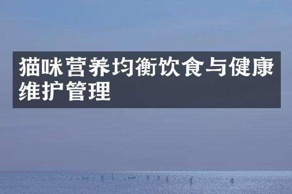 猫咪营养均衡饮食与健康维护管理