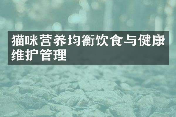 猫咪营养均衡饮食与健康维护管理