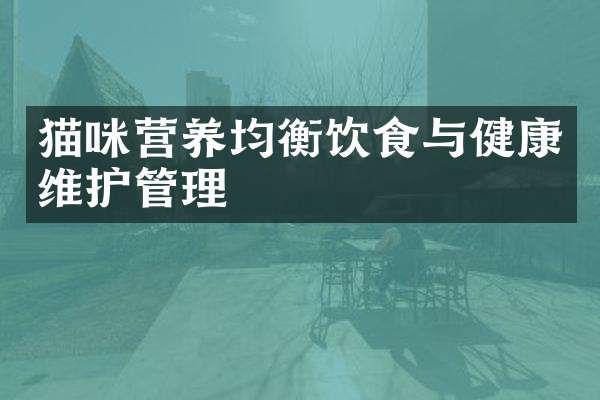 猫咪营养均衡饮食与健康维护管理