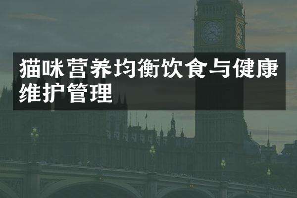 猫咪营养均衡饮食与健康维护管理
