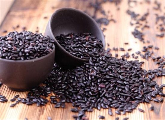 黑米和什么搭配最好 推薦三種搭配法