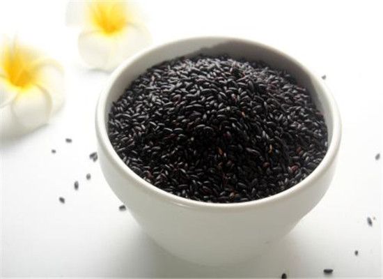 黑米和什么搭配最好 推薦三種搭配法