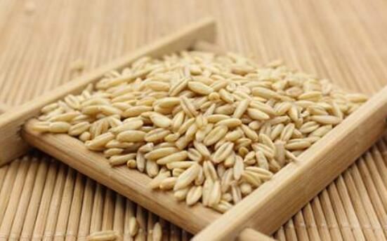 吃燕麥米的好處 燕麥米不能和什么一起吃