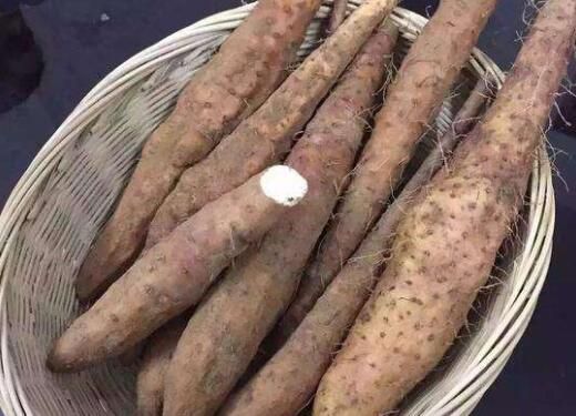 毛薯和山藥的區(qū)別 吃毛薯的好處