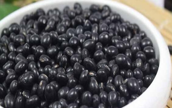 醋泡黑豆的功效與作用 吃醋泡黑豆的好處