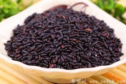 黑米的功效与作用是什么?黑米掉色正常吗?