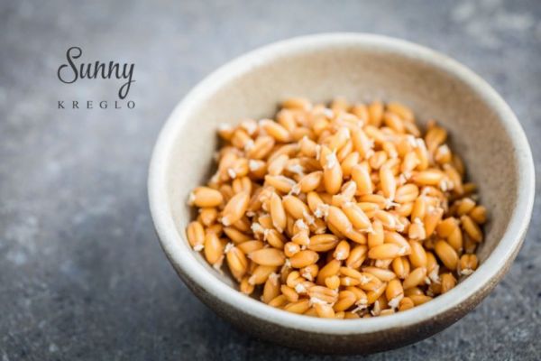 【健康三餐】發(fā)芽小麥飯